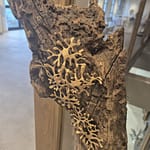 stampa 3d hp multi jet fusion 17